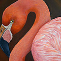 Flamingo Pretty in Pink